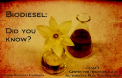 Biodiesel: Who Uses It?