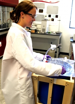 Amber Goff performing maintenance on the algae bioreactor